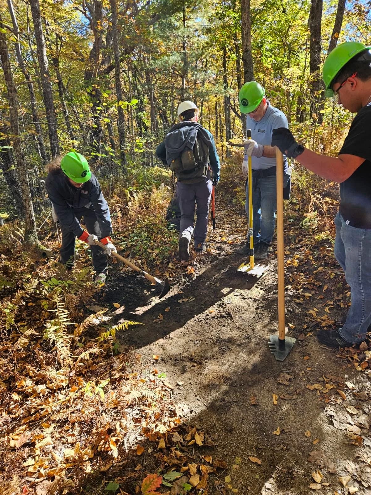 Volunteers clearing a forest trail with Friends of Panthertown